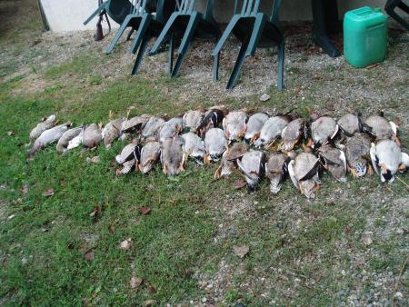 Ma première partie de chasse aux canards