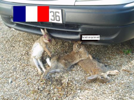 Ah les pti gamins...