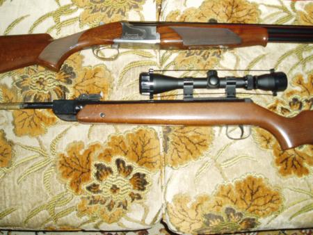 Mon fusil et ma carabine