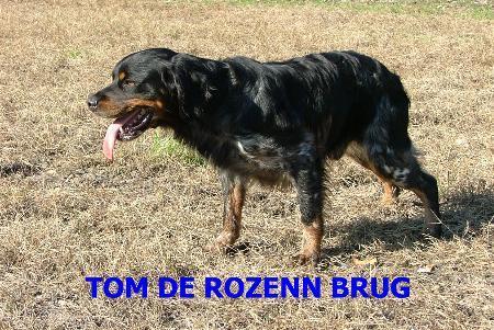 Tom au travail